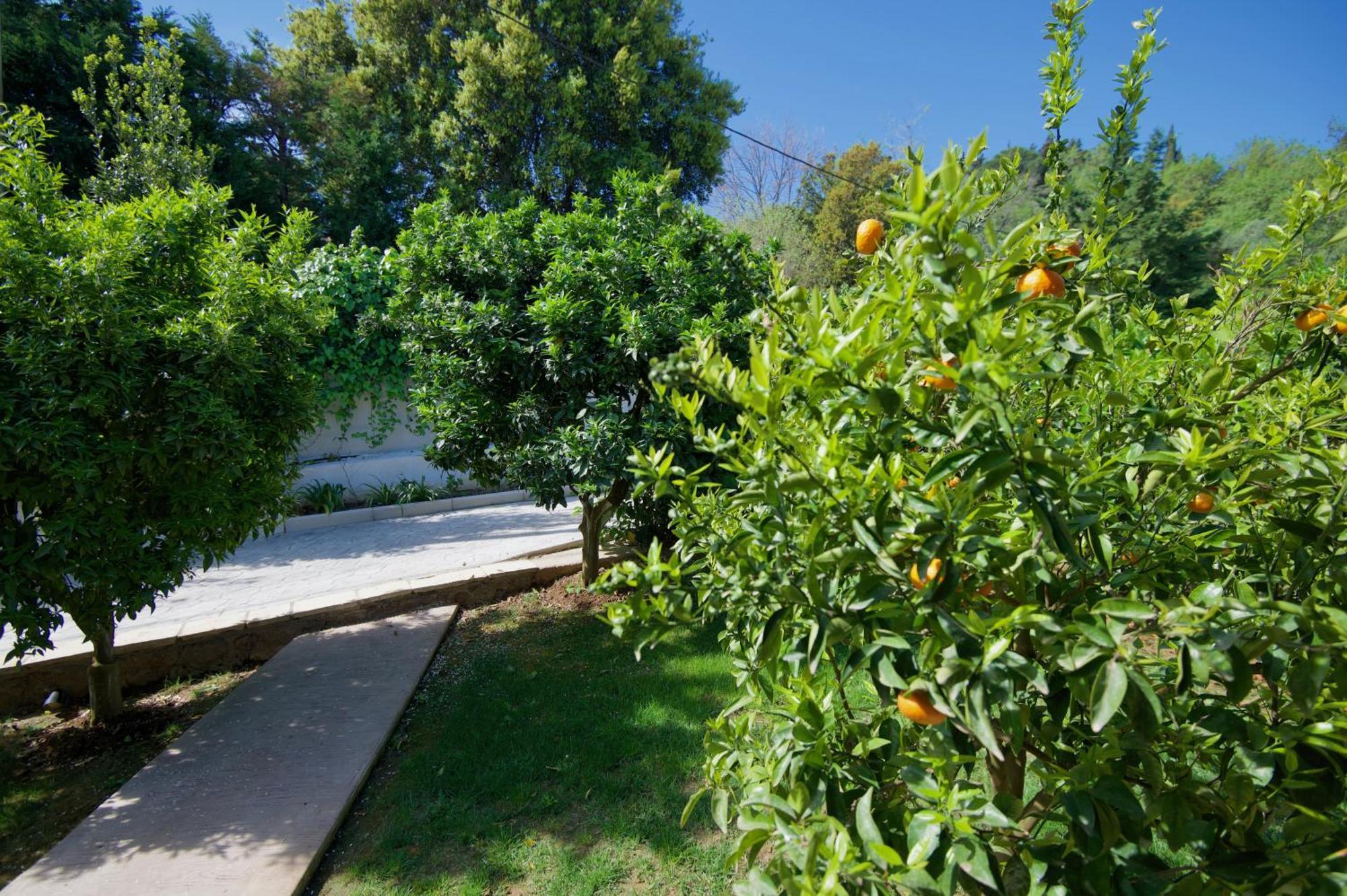 Villa Natilia Gazatika Ngoại thất bức ảnh